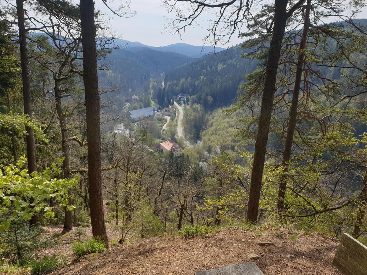 Ferienwohnung Schwendner Thanstein Esterno foto